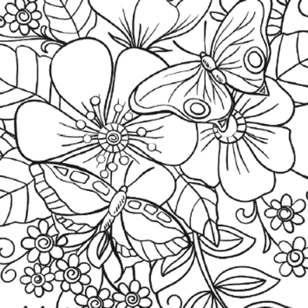 butterfly and flower coloring pages