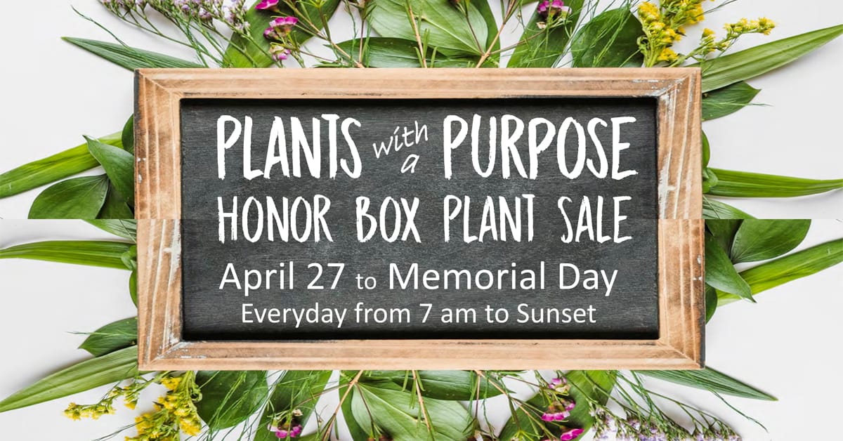 Plants With A Purpose 2024 Honor Box Plant Sale Williamsburg   2024 Honor Box Banner 1200 X 628 